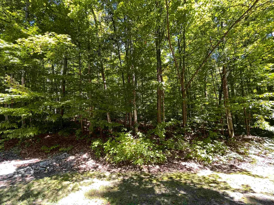Lot 70 N Klaffen Strasse, Bellaire, MI 49615 - #2