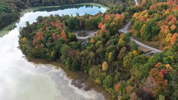 4972 Truax Lake RD, Williamsburg, MI 49690