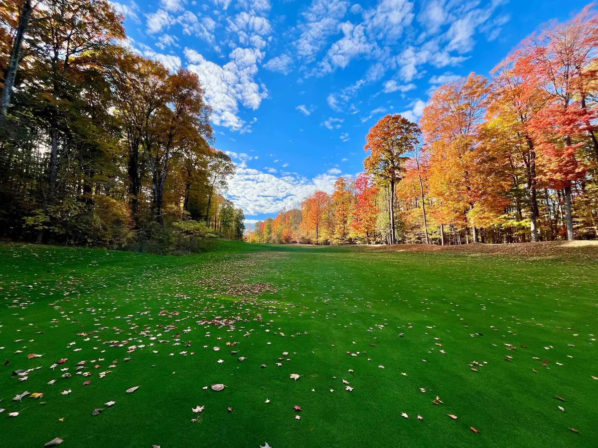 V/L 51 Troon South, Bellaire, MI 49615 - #1