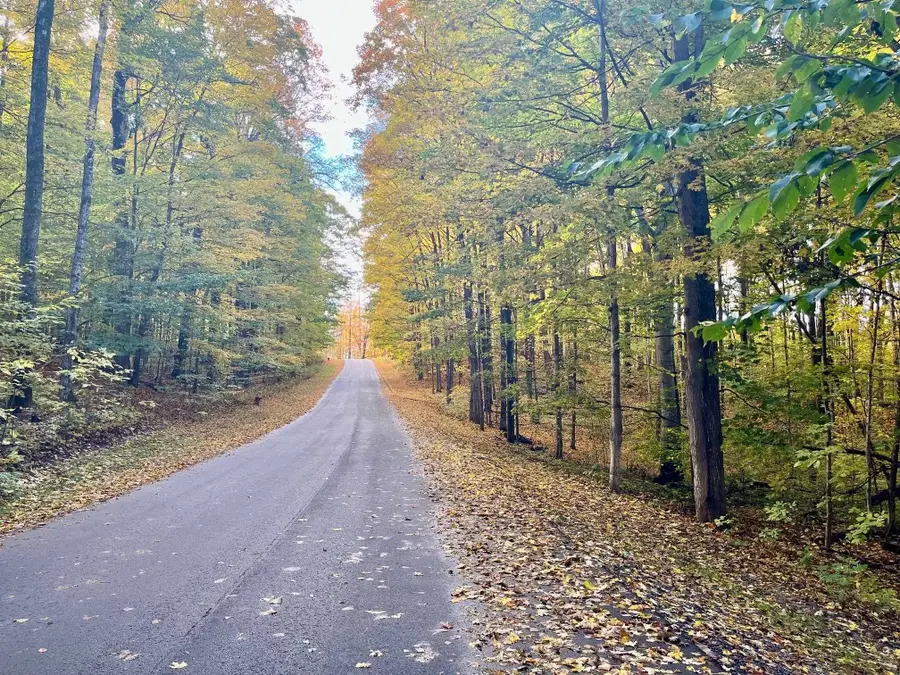 V/L 51 Troon South, Bellaire, MI 49615 - #3