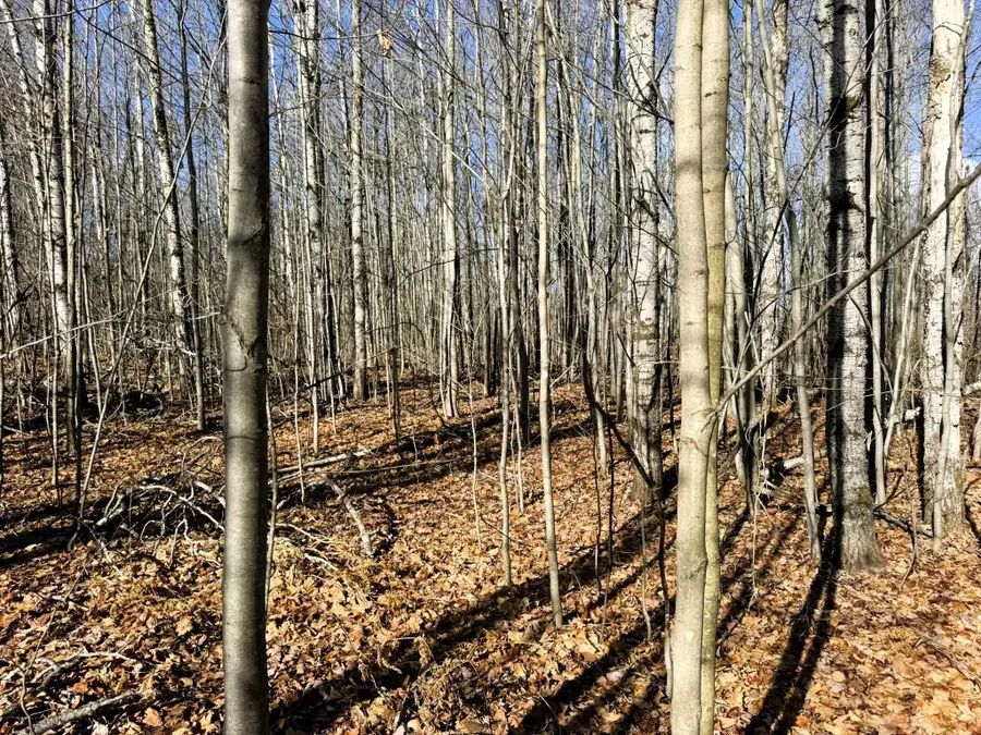 Lot 134 Wilderness CIR, Mancelona, MI 49659 - #3