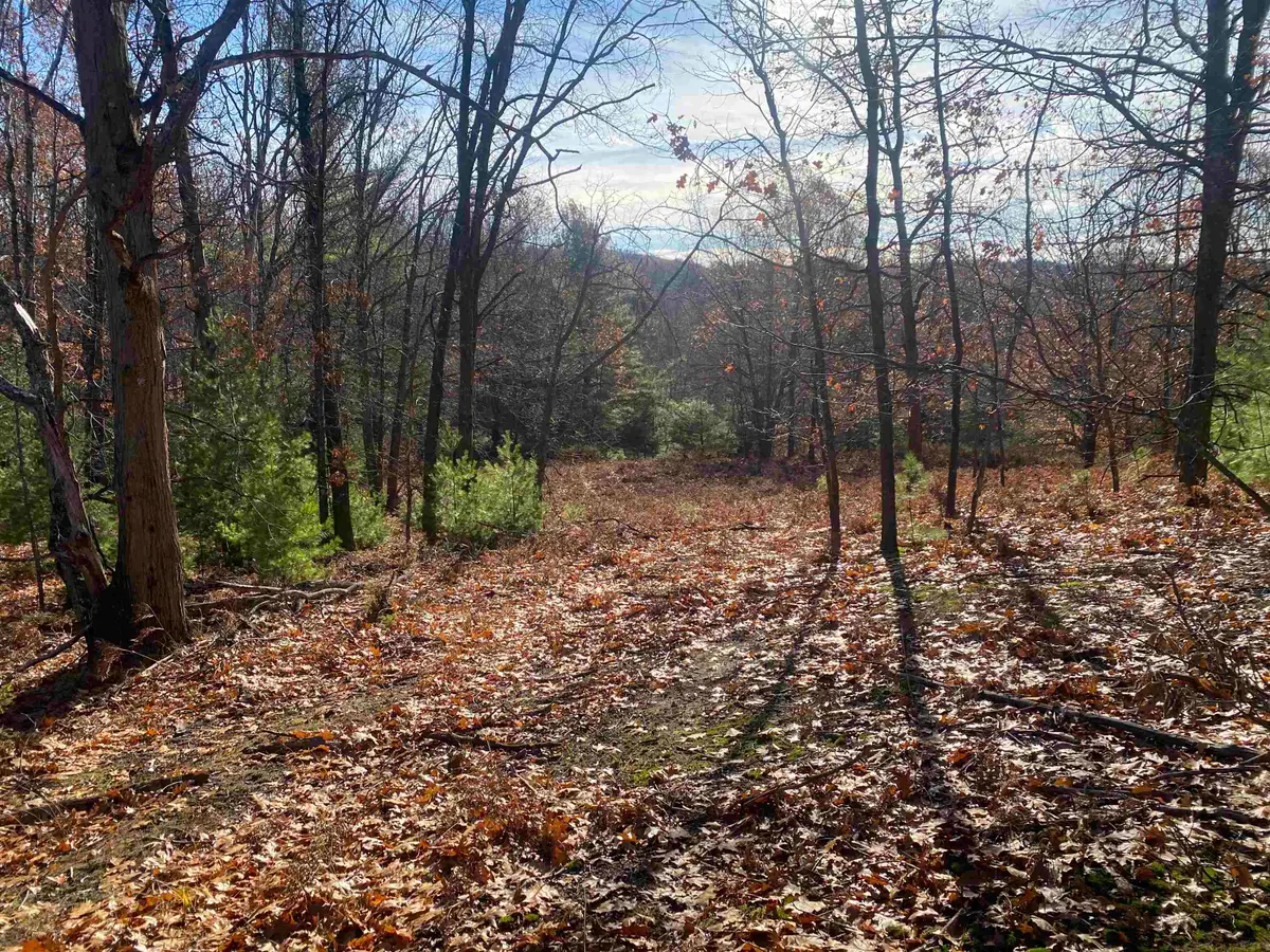 000 E Hammond, Traverse City, MI 49686 - #1