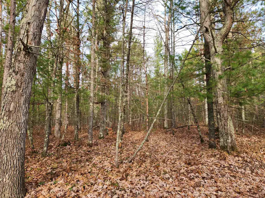 VL Hall Creek RD, Interlochen, MI 49643 - #2