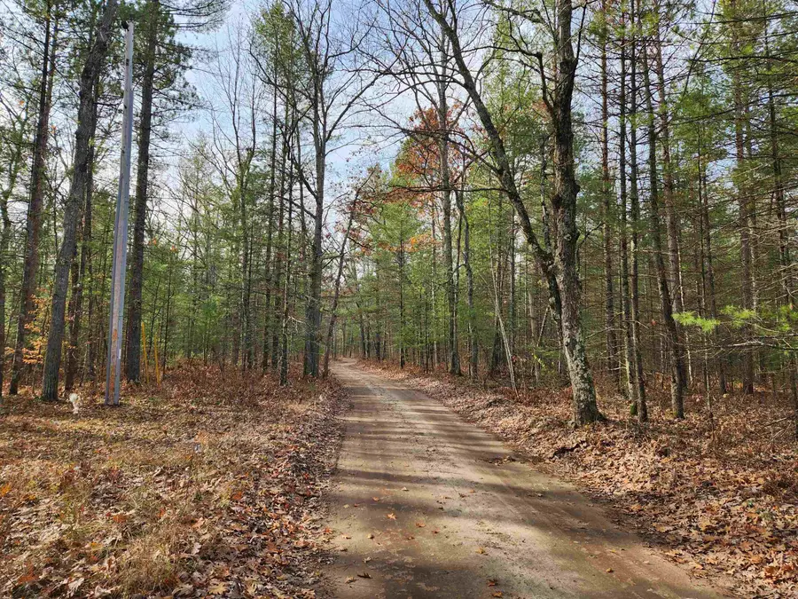 VL Hall Creek RD, Interlochen, MI 49643 - #3
