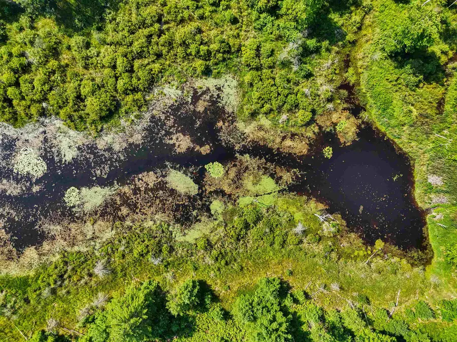 00 Arnold, Manton, MI 49663 - #3