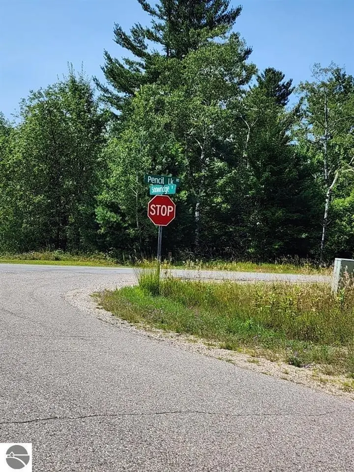 VL Snowridge, Elmira, MI 49730 - #2
