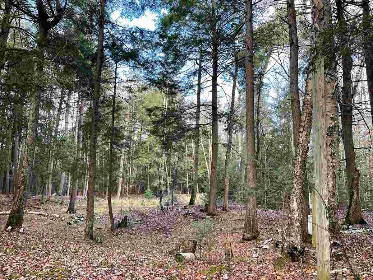 TBD East Side, Peaine, MI 49782 - #1