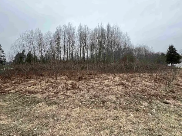 Lot 19 Crestview, Cadillac, MI 49601