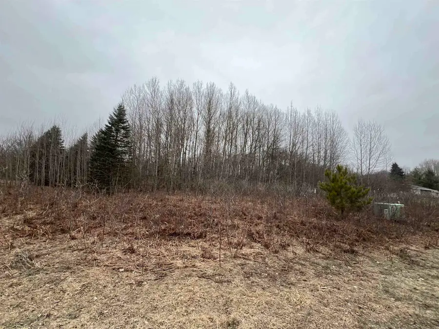 Lot 19 Crestview, Cadillac, MI 49601 - #2
