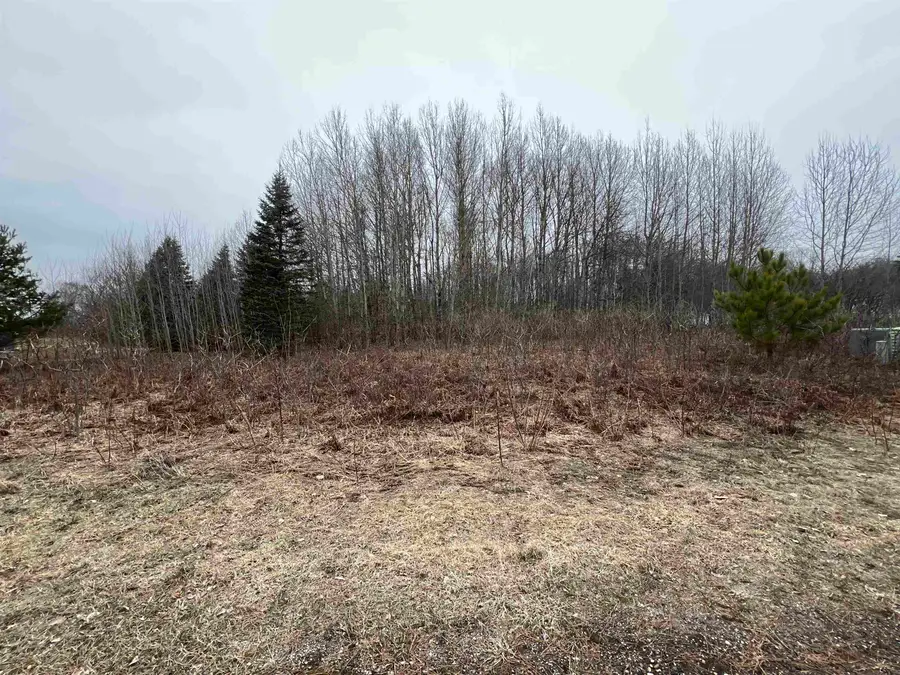 Lot 19 Crestview, Cadillac, MI 49601 - #3