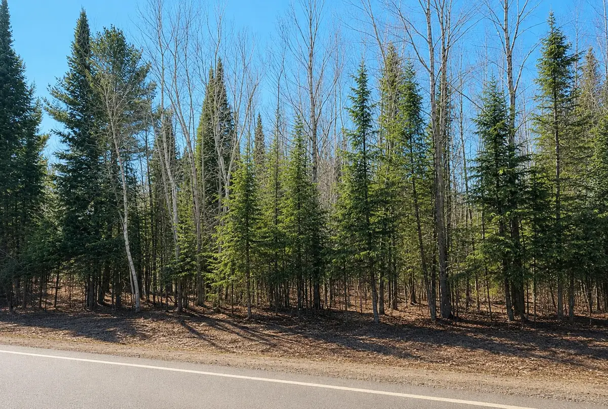 * River, Kingsley, MI 49649 - #1