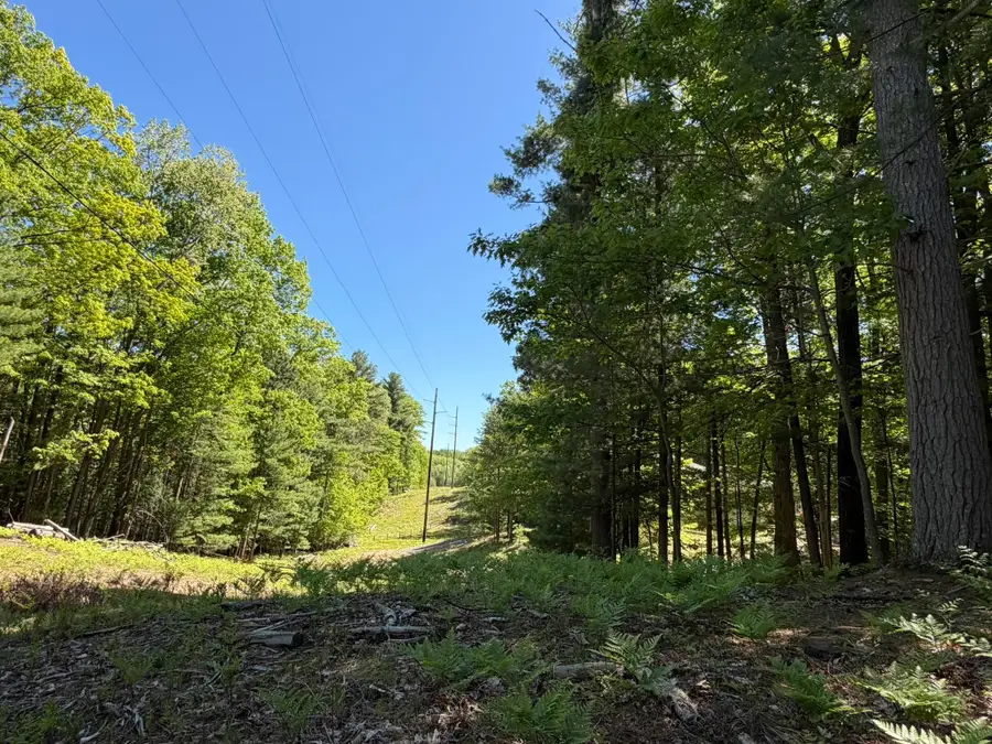 4478 Ground Pine, Acme, MI 49686 - #2