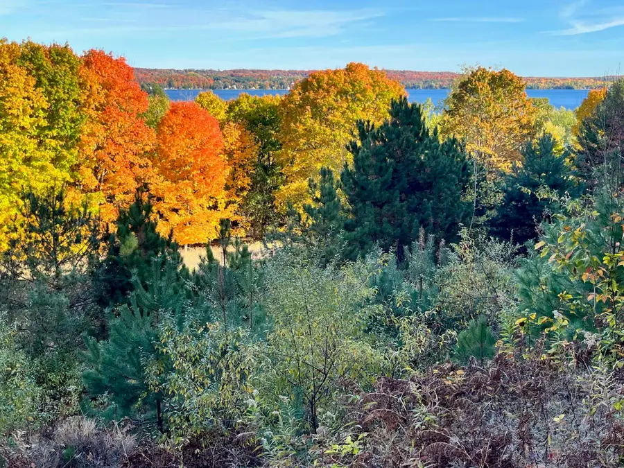 00 E Hidden Beech DR, Cedar, MI 49621 - #2