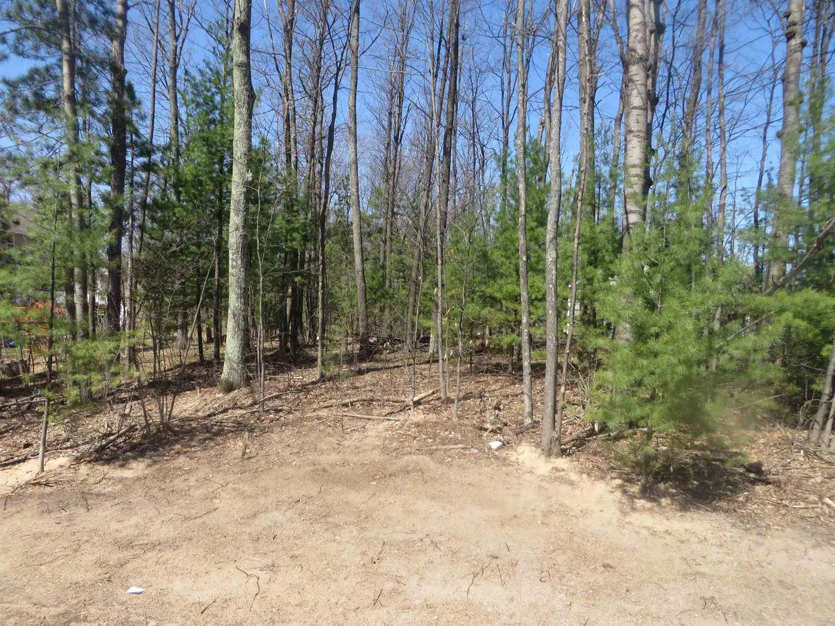 4181 Maple Hill, Grawn, MI 49637 - #1