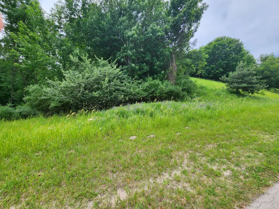 0000 Deer Ridge, Beulah, MI 49617 - #2