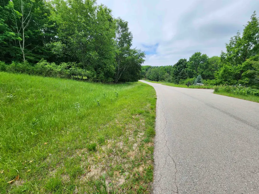 0000 Deer Ridge, Beulah, MI 49617 - #3