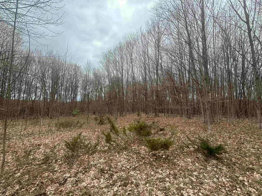 00 Kilkenny, Ellsworth, MI 49729 - #2