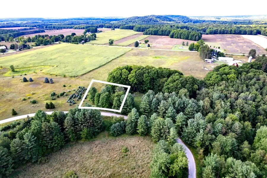Lot #9 Kadi LN, Almira, MI 49650 - #3