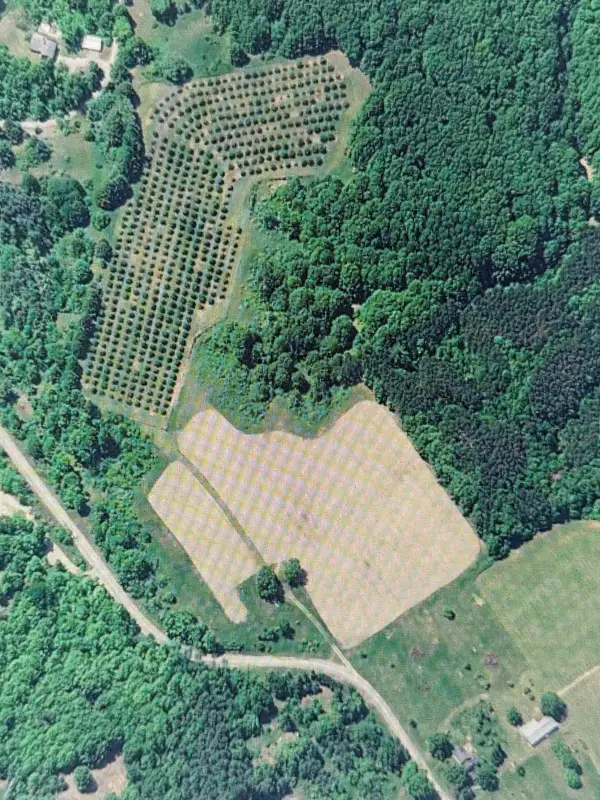 1330 Eden Hill, Beulah, MI 49617