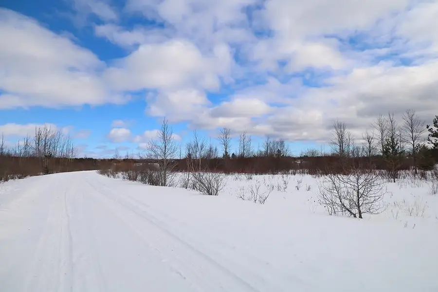 6412 Lora Bette DR, Alanson, MI 49706 - #3