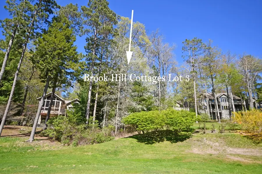 3 Brook Hill Cottages, Glen Arbor, MI 49636 - #2
