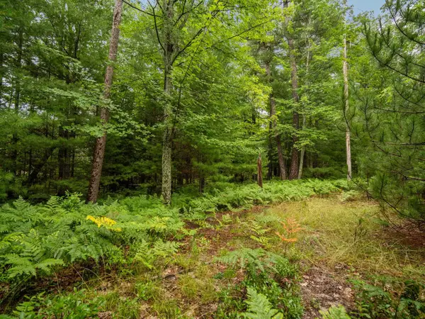 00 Business Park, TraverseCity, MI 49686