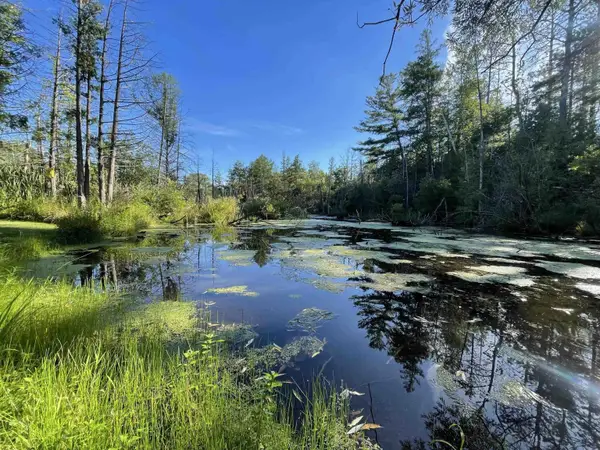 210 Spring, Kingsley, MI 49649