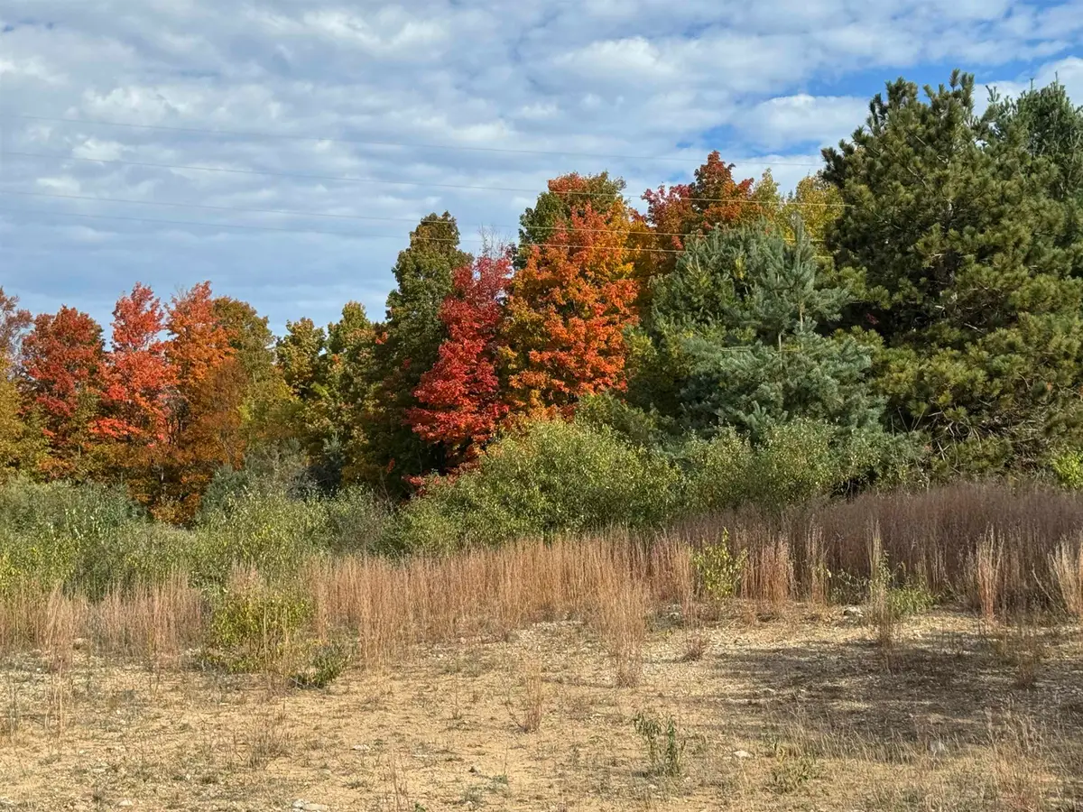 4.2 Acres January DR, Garfield, MI 49684 - #1