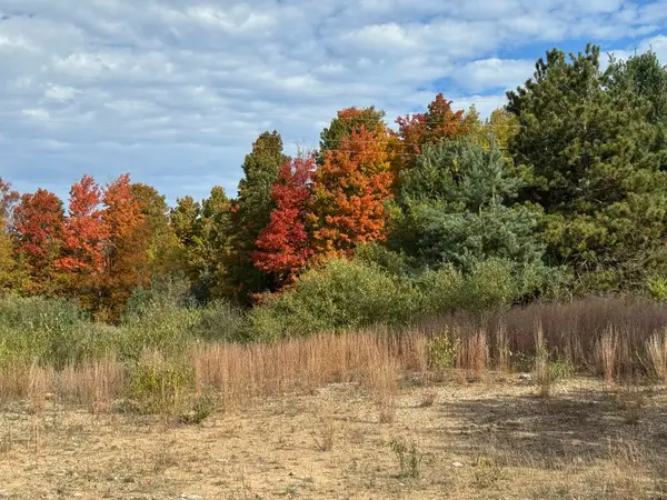 4.2 Acres January, TraverseCity, MI 49684