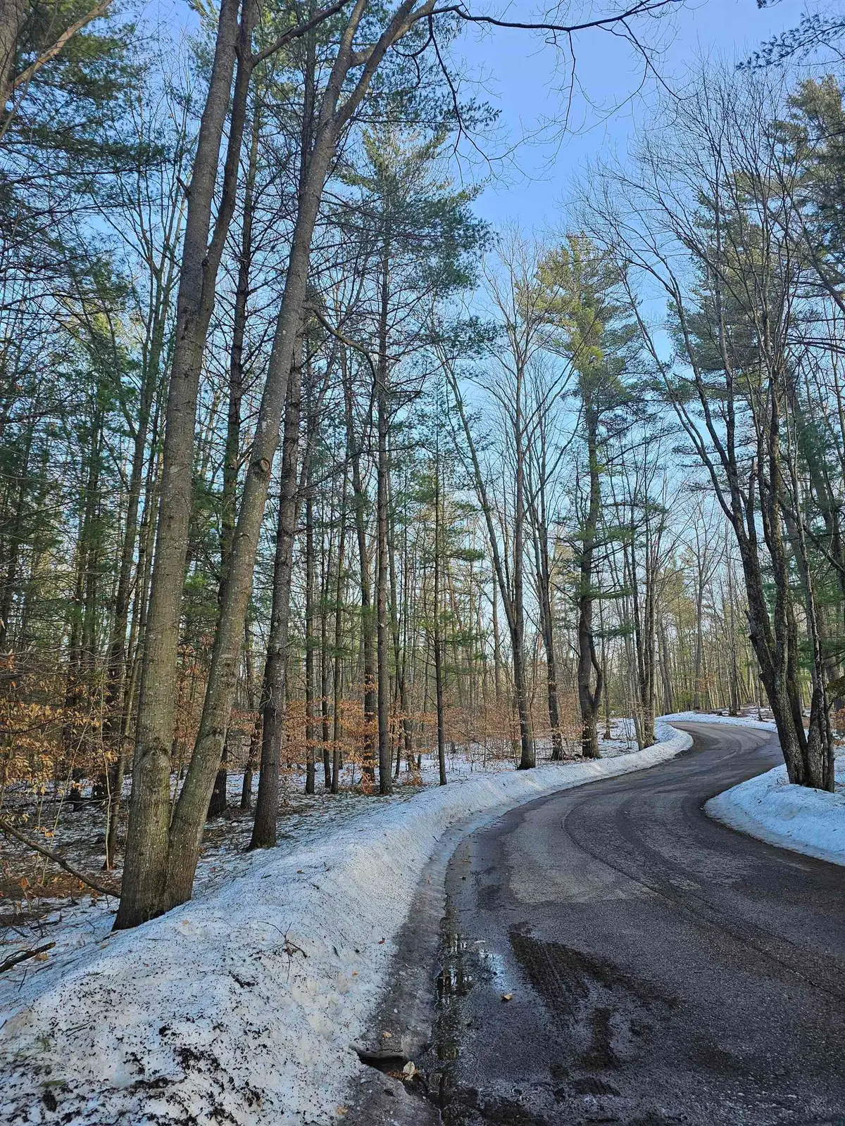 Lot 45 Woodwind, Cadillac, MI 49601 - #1