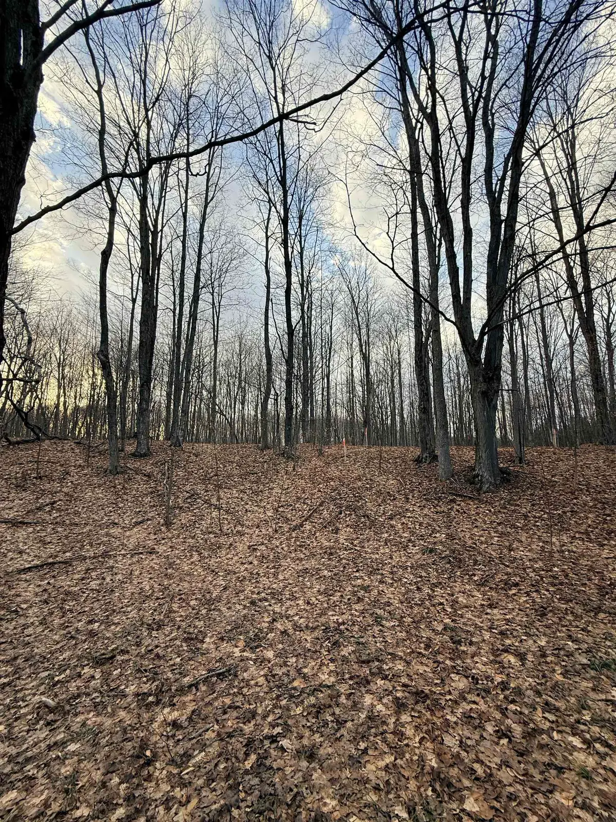1208 S Ridge, Blair, MI 49696 - #1