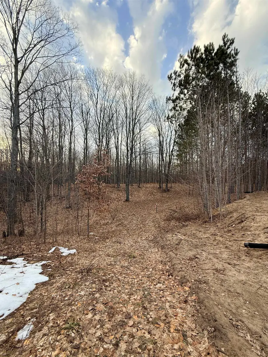 1208 S Ridge, Blair, MI 49696 - #3