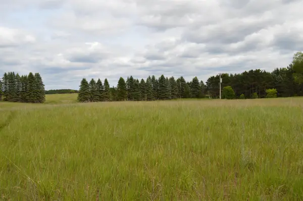 J Summit City, Kingsley, MI 49649