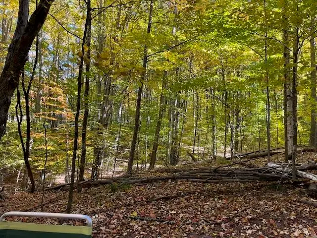 00 Glory RD, Frankfort, MI 49635 - #2