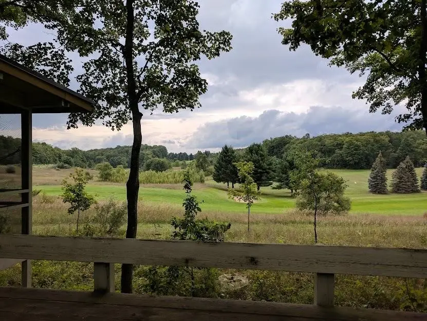 Lot 19 S Club, Cedar, MI 49621 - #3
