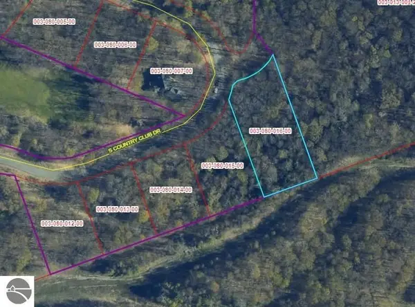 Lot 16 S Club, Cedar, MI 49621