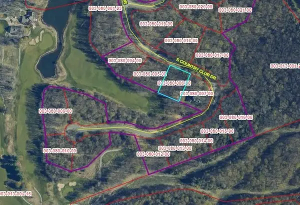Lot 6 S Club, Cedar, MI 49621