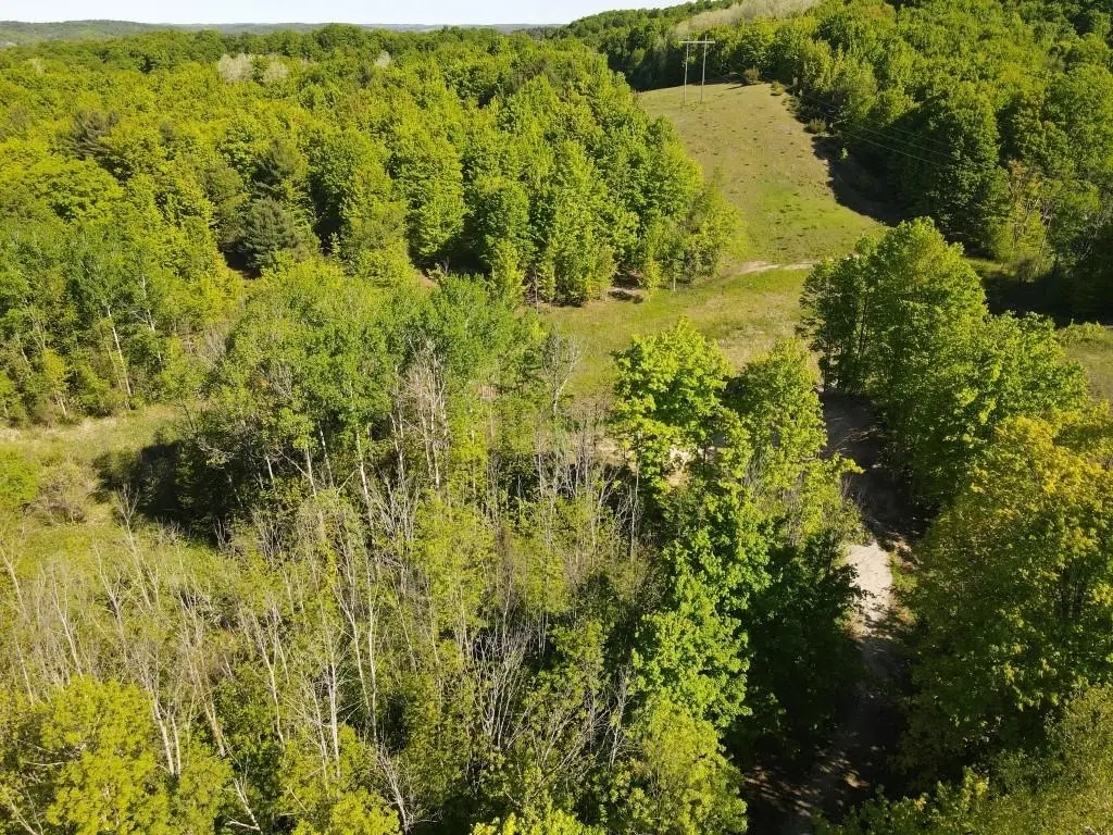 TBD Pesek, Wilson, MI 49727 - #1