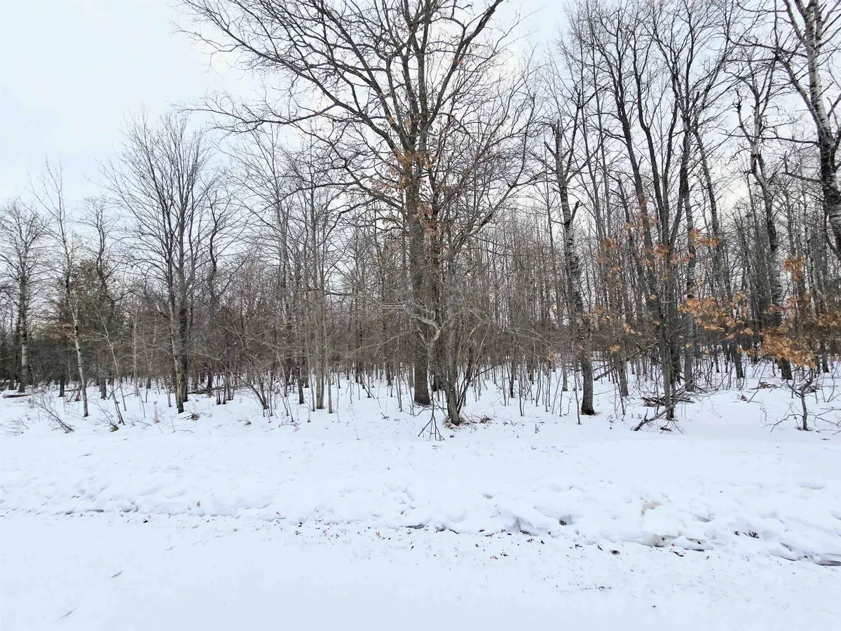 6 Fairway, Grayling, MI 49738 - #1
