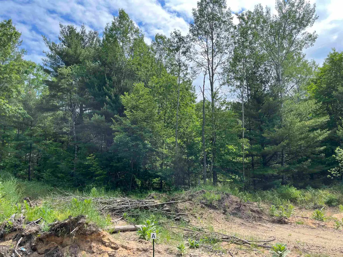 parcel A Hoosier Flats, Blair, MI 49685 - #1