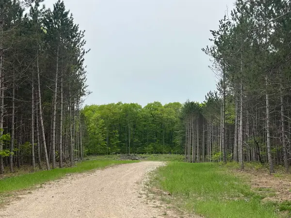 parcel B Theron, TraverseCity, MI 49685