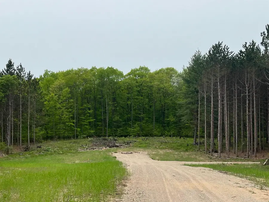 parcel C Theron, Blair, MI 49685 - #2