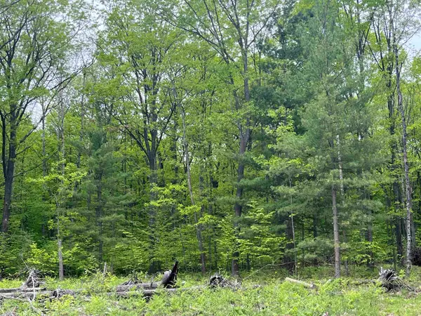 parcel D Theron, TraverseCity, MI 49685