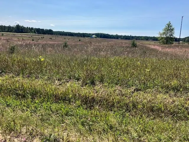 F Walton, Kingsley, MI 49649 - #1