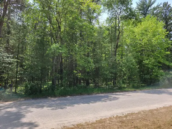 Helen DR, Grayling, MI 49738