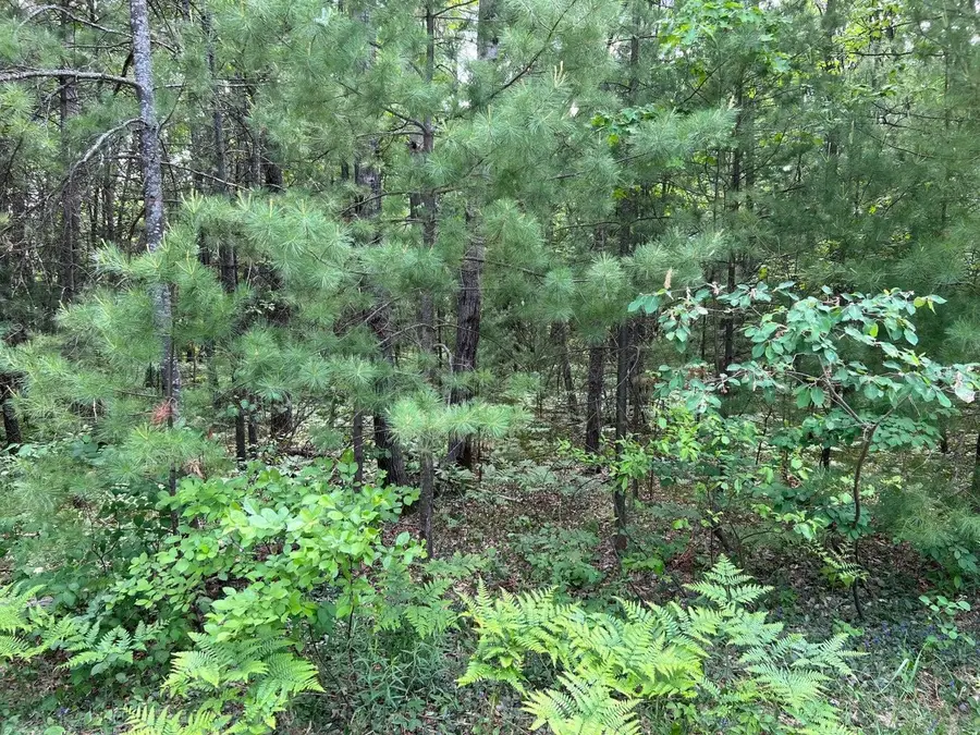 Helen DR, Grayling, MI 49738 - #2