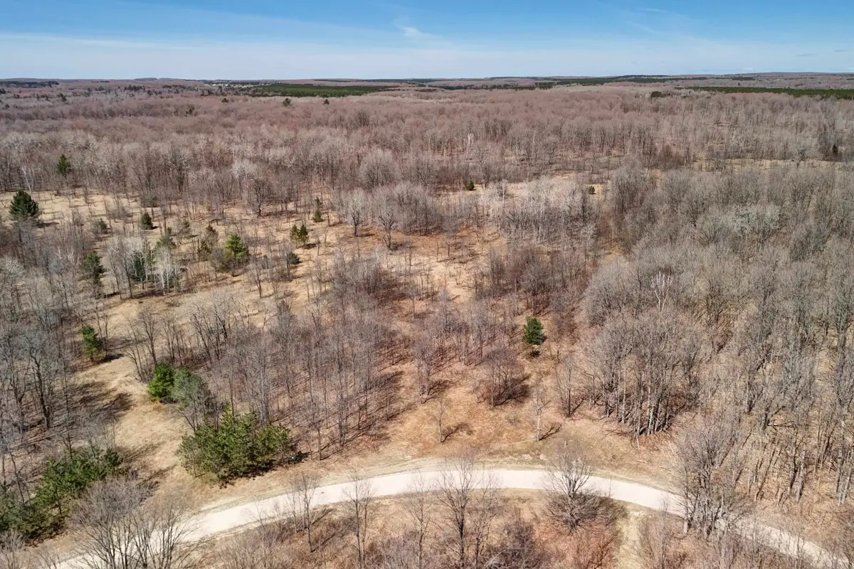 171 NE Kleehammer Club DR, Kalkaska, MI 49646 - #1