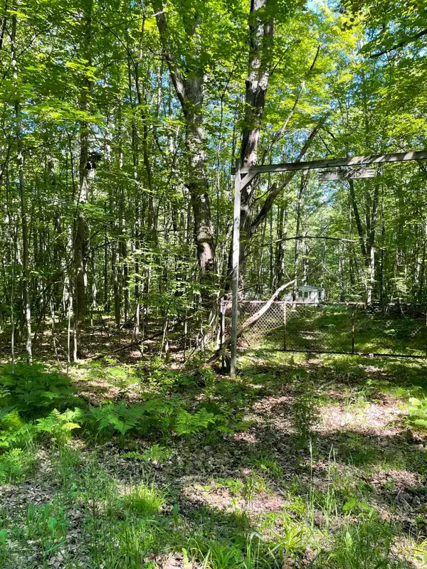 8895 Grandview, ReedCity, MI 49677