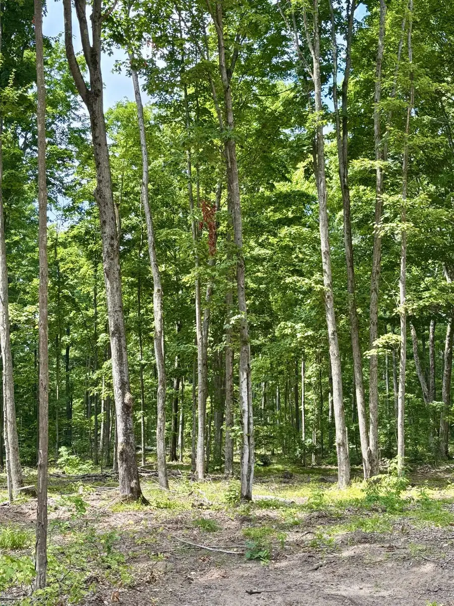 Lot 6 NE Manistee Ridge Drive NE, Kalkaska, MI 49646 - #3