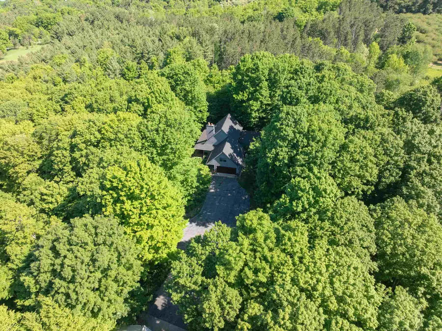3285 S East Torch Lake, Bellaire, MI 49615 - #3